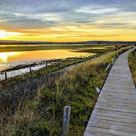 Апартаменты Complex Schuldt,